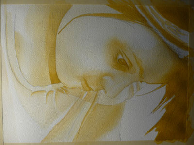 watercolor portrait painting lesson, yellow layer