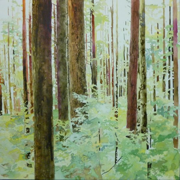 painting a forest in watercolor