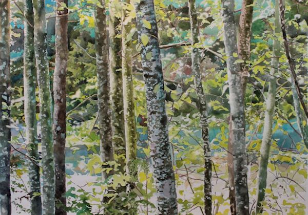 watercolor painting of forest and trees step by step painting tutorial by North Vancouver artist Sandrine Pelissier