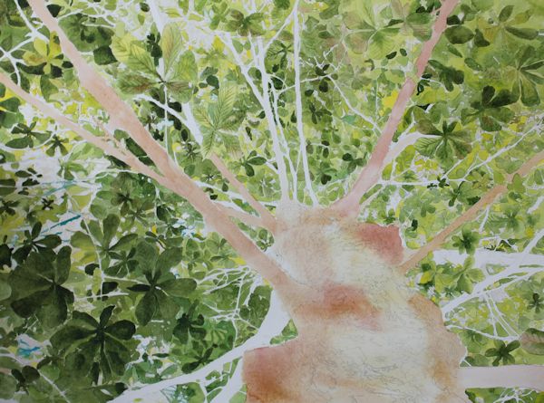 layering watercolor washes to paint the tree trunk