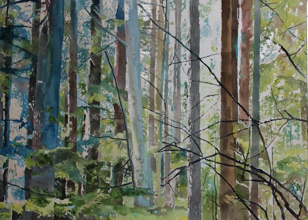 watercolor forest painting before splashing ot with gouache and watercolor