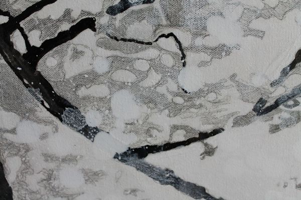 detail of graphite and India ink painting by North Vancouver artist Sandrine Pelissier