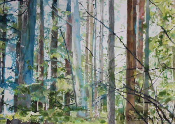 watercolor forest painting by North Vancouver artist Sandrine Pelissier