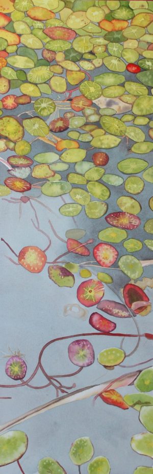 glazing the lily pads with watercolor