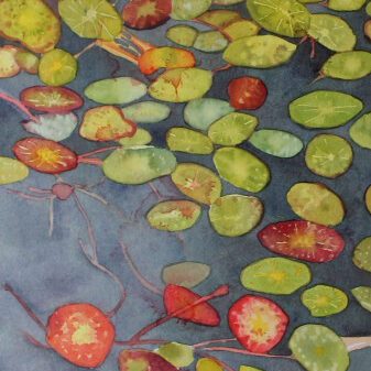Lily-pads-on-One-Mile-Lake-338x1024