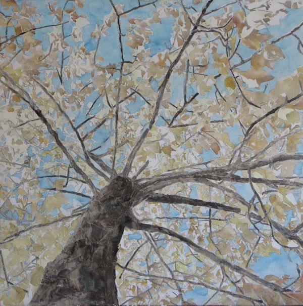 Mixing acrylic, oil pastels, India Ink, colored pencil, watercolors and