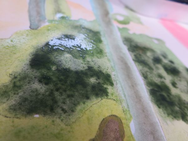 painting the background flowers with watercolor wet into wet