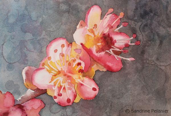 How to Use Masking Fluid in Watercolour - Top Tips! Emily Wassell Art