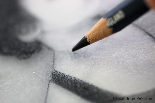 By varying the pressure on the pencils, you can get different tones of black or color.