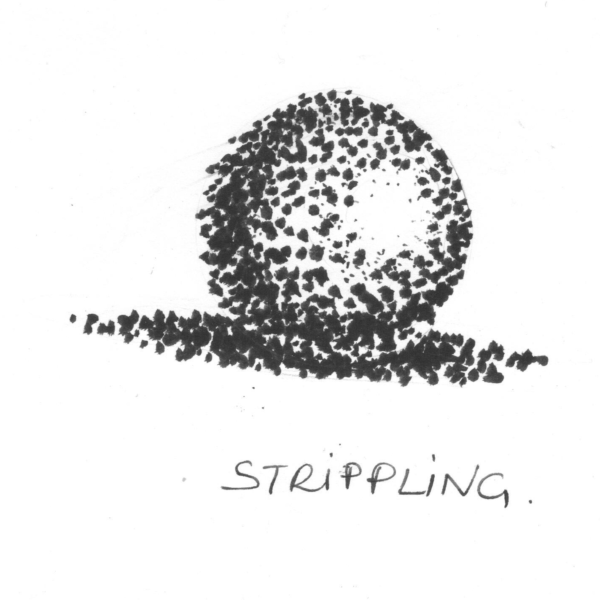 strippling technique for shading a drawing