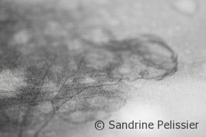 life drawing and painting